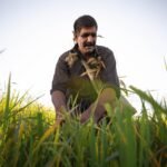 A farmer kneels in a wheat field, examining the crop under clear daylight.